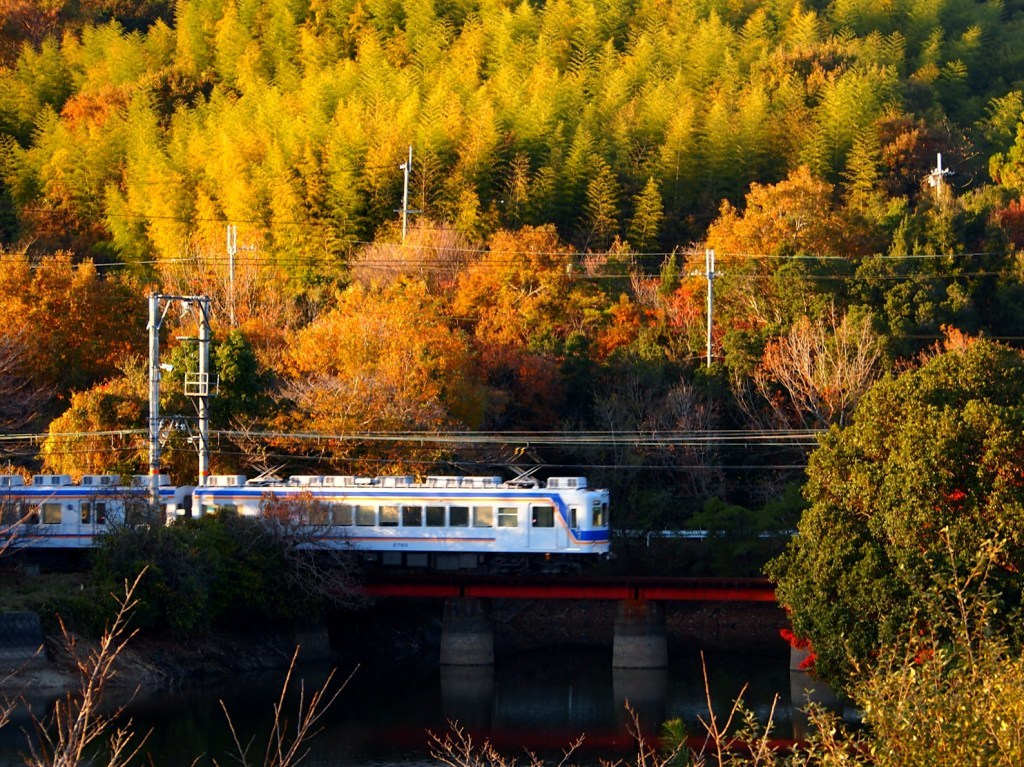 夕陽に輝く