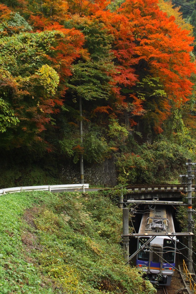 山岳列車（５）－紅葉のトンネル