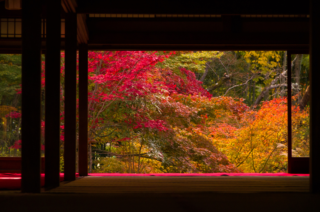 Autumn color in Nanzenzi-Temple