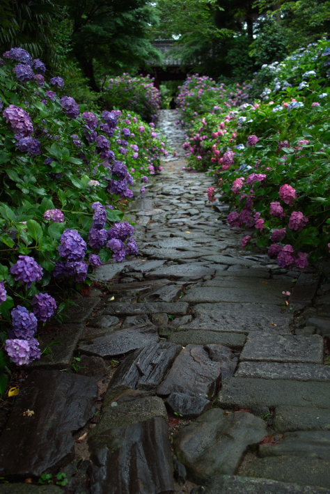 雨の本光寺