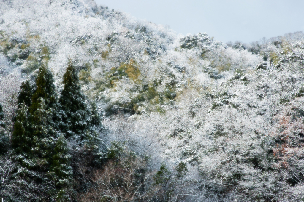 薄化粧