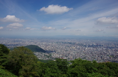 IMGP3558
