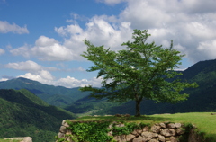 竹田城跡（頂上）