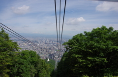 IMGP3525