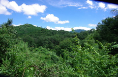 竹田城跡（遠め）