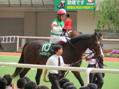 トゥザグローリー（鳴尾記念）