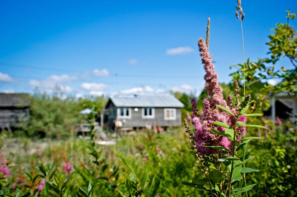 Finn Slough Village