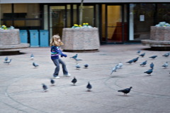 Playing with Pigeons