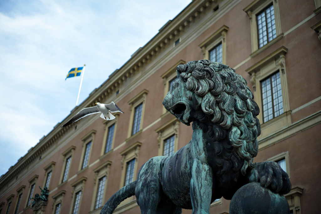 Pigeon and Lion ~ Stockholm Palace