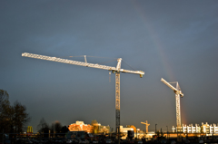 Cranes and Rainbow