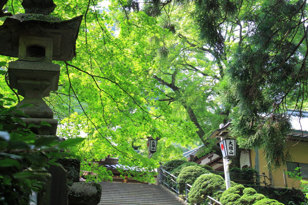 大雄山　最乗寺