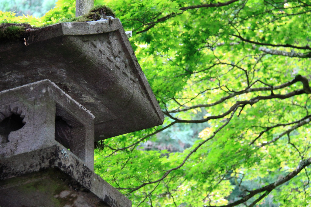 大雄山　最乗寺