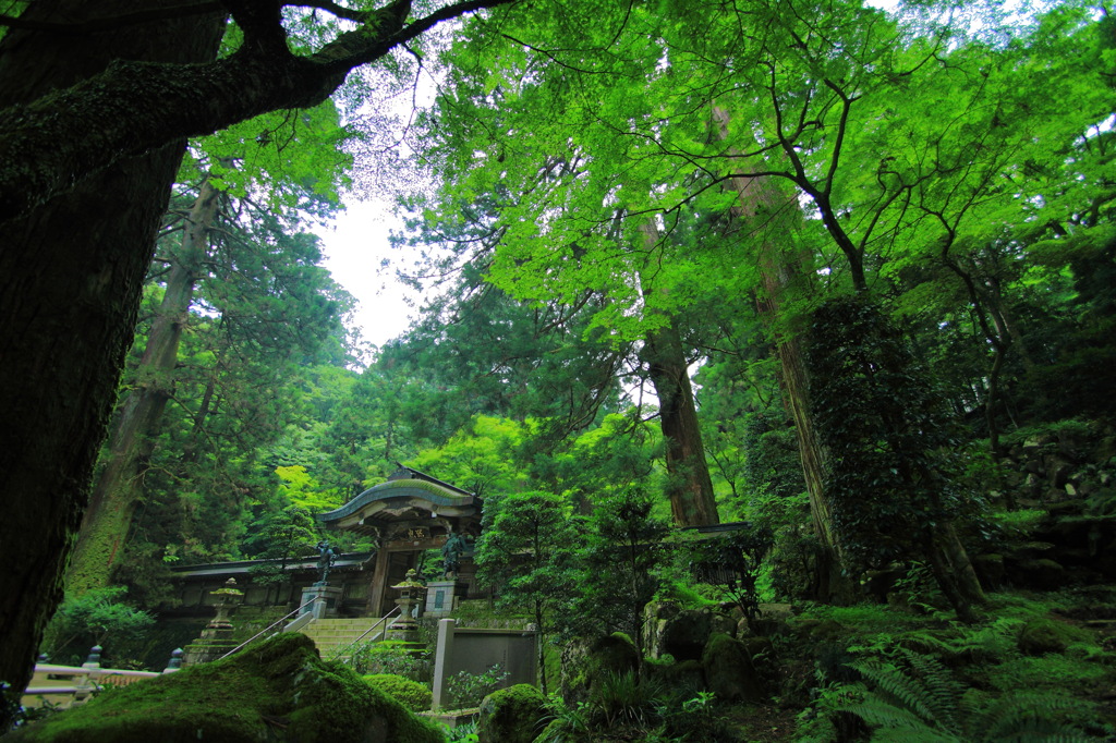 大雄山　最乗寺