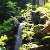 大雄山　最乗寺