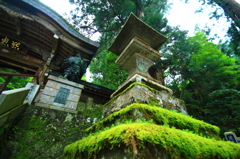 大雄山　最乗寺