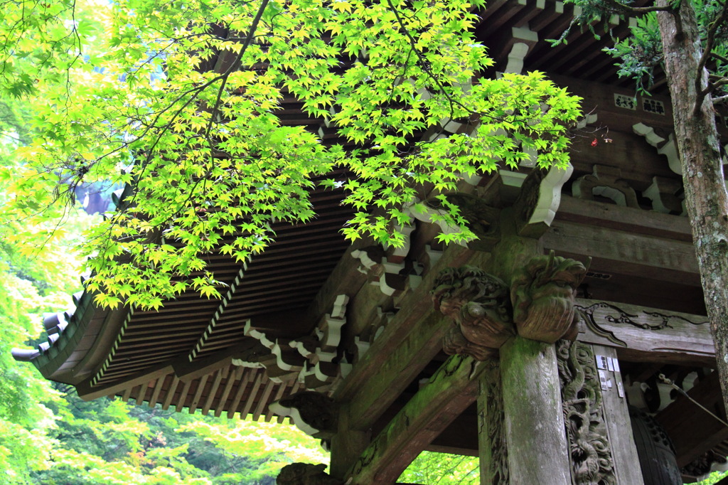 大雄山　最乗寺