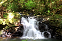 種子島　雌淵雄淵の滝