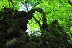 大雄山　最乗寺