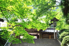 大雄山　最乗寺