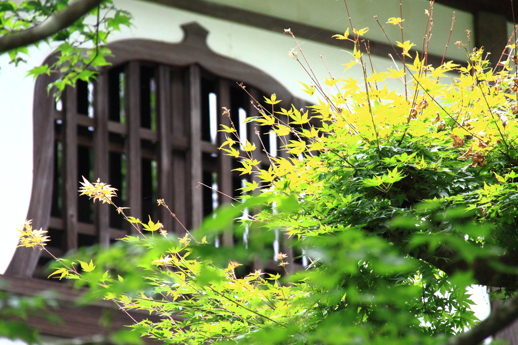 大雄山　最乗寺