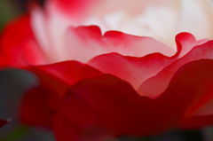 Gradation