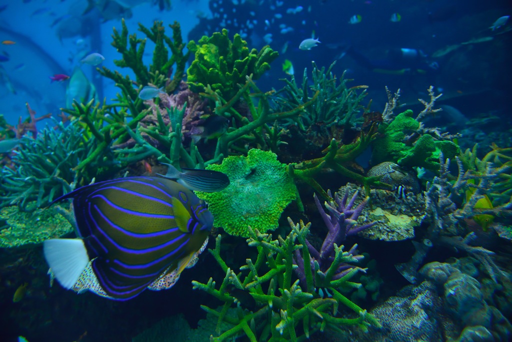 名古屋港水族館