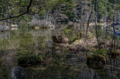 DSC_3792-2