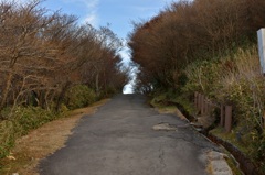 頂上への道