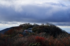 雲に近い山