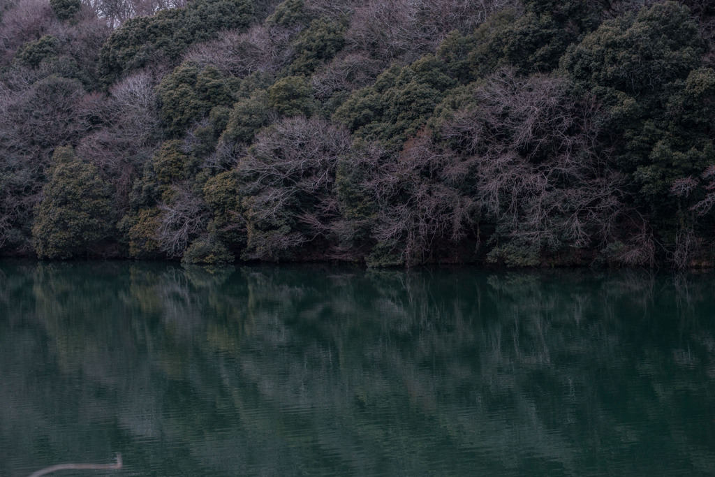 魔の森