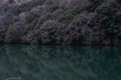 魔の森