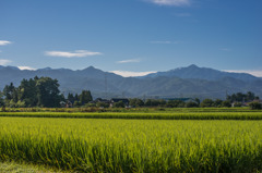 富山の情景