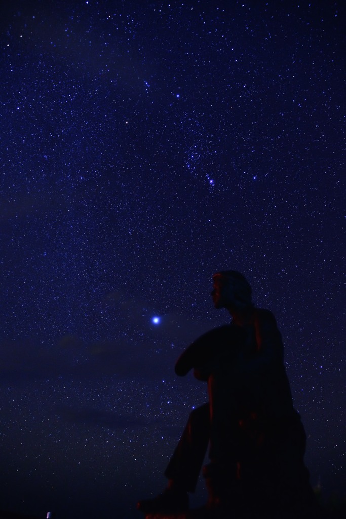 星を見上げて