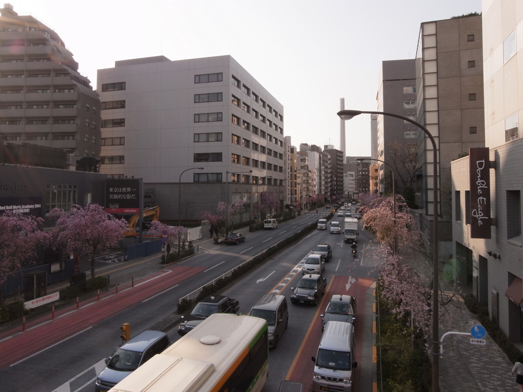 明治通り４～渋谷方面