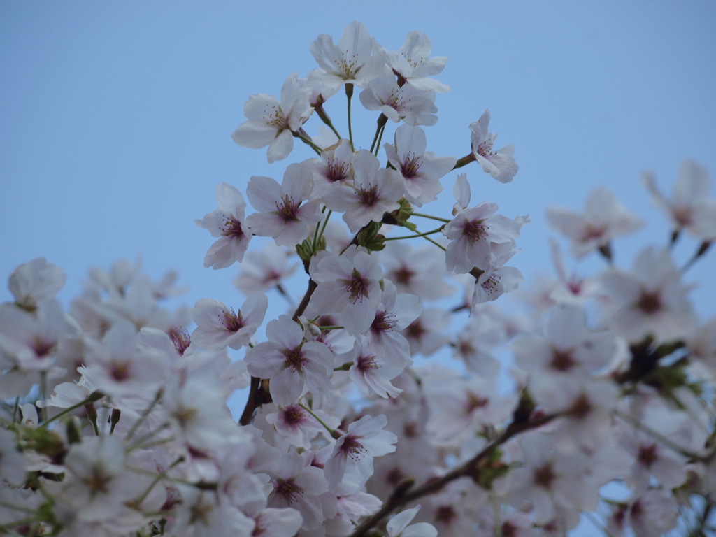 公園３