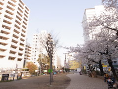 公園２