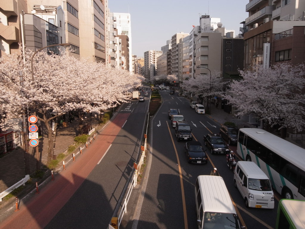 明治通り３～広尾方面