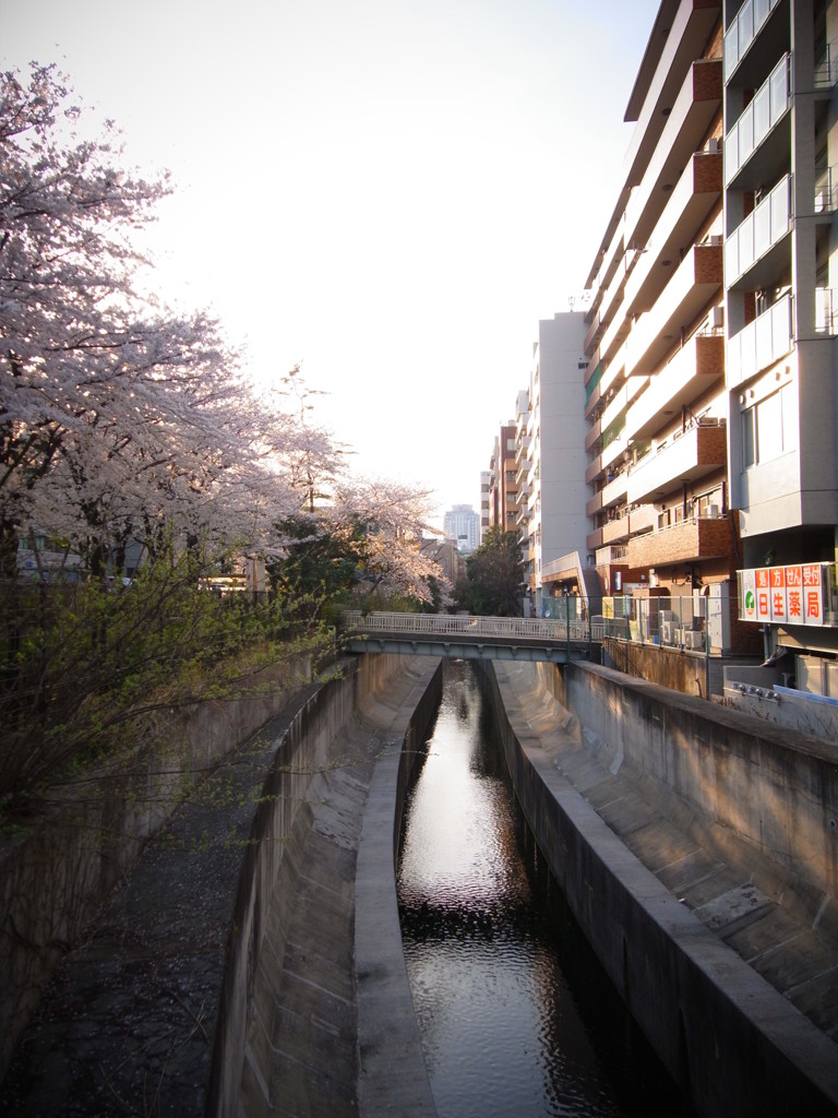 渋谷川２