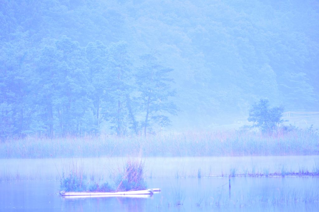 湖畔