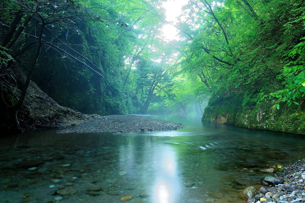 純水
