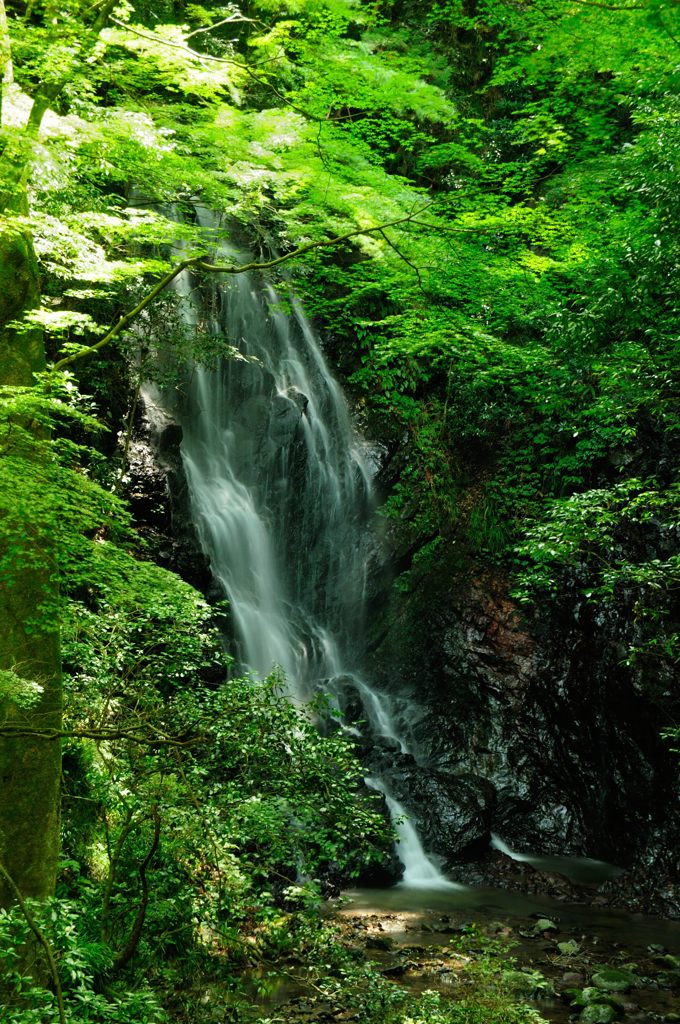 玉簾の滝