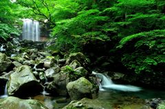 涼への道標