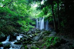 爽やかな朝