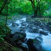 名水を求めて