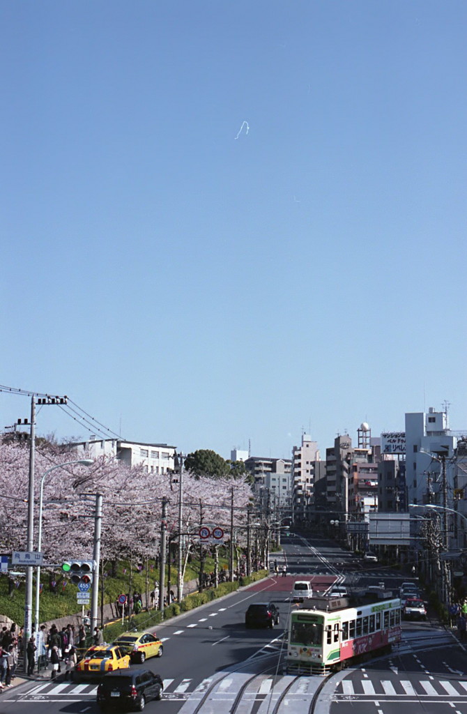 春の一景