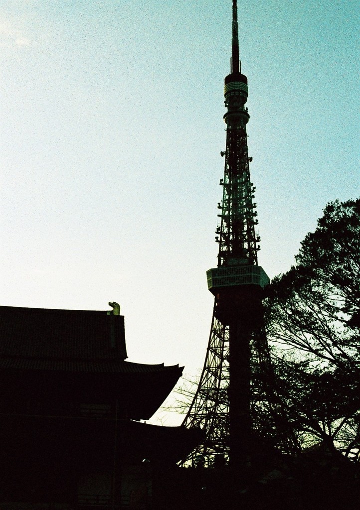 夕暮れタワー