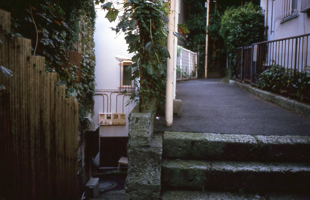 路地裏　その5