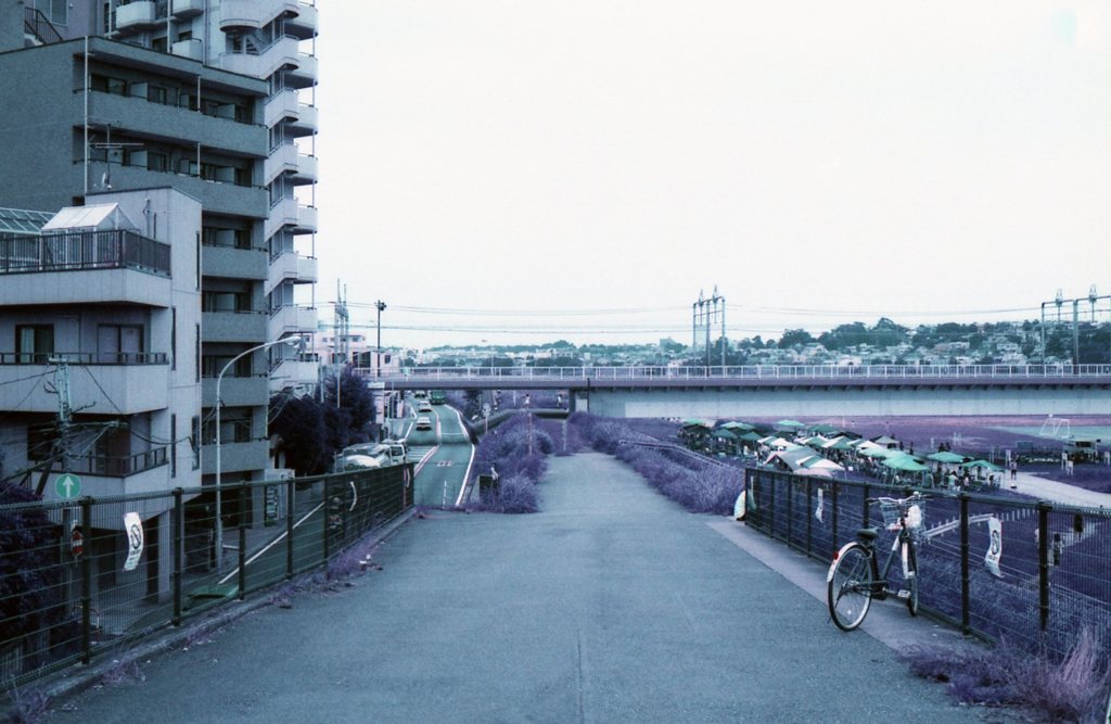 Purple Town