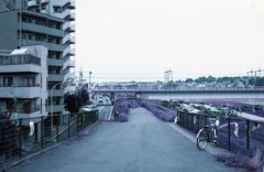 Purple Town