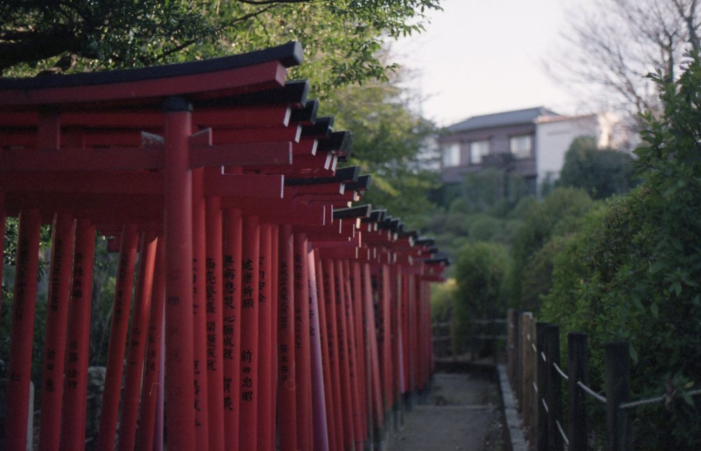 根津の千本